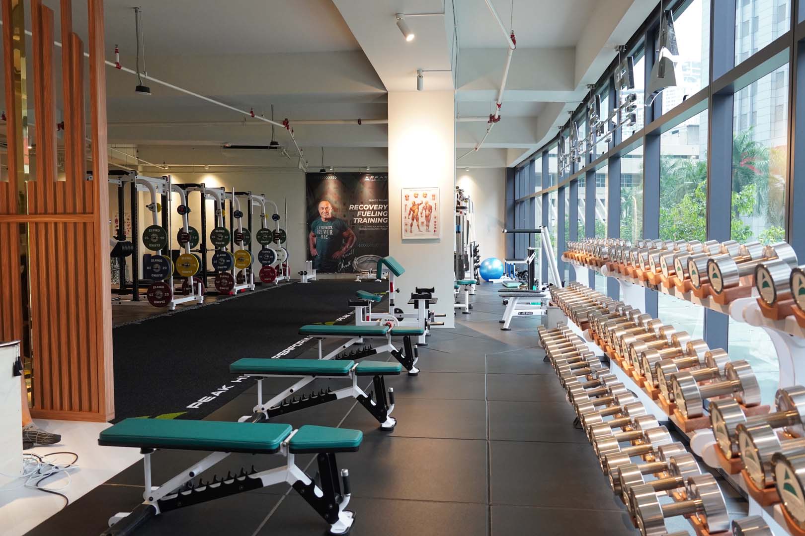 Free Weight & Track